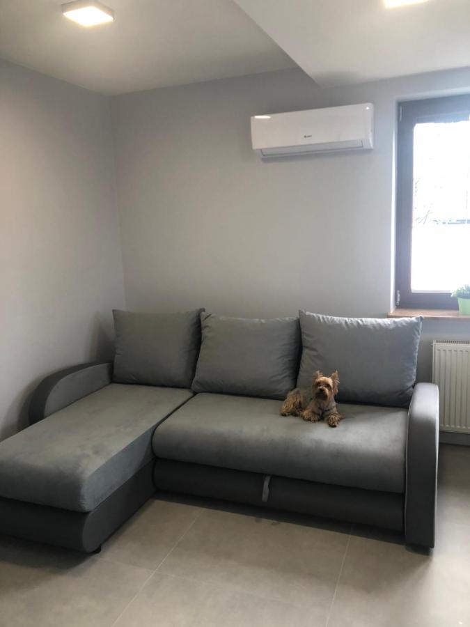 Klimatyzowane Apartamenty I Pokoje Przy Targach Кельце Екстер'єр фото